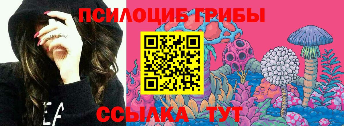 Галлюциногенные грибы Cubensis Ржев